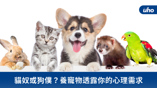貓奴或狗僕?養寵物透露你的心理需求