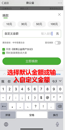 选择默认金额或输入自定义金额后捐款