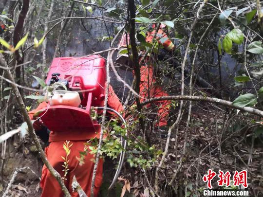 圖爲森林消防官兵奮力撲救山火。雲南省森林消防總隊供圖