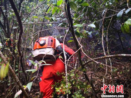 圖爲森林消防官兵奮力撲救山火。雲南省森林消防總隊供圖