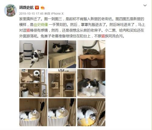 史航在微博晒猫。微博截图