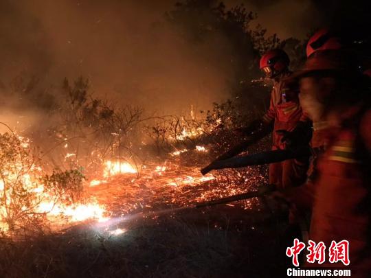 圖爲森林消防在撲火。雲南省森林消防總隊供圖