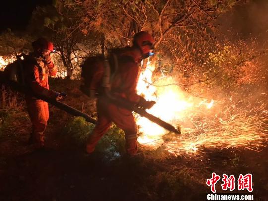 圖爲森林消防在撲火。雲南省森林消防總隊供圖