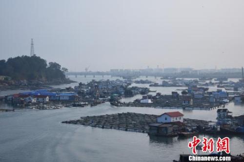 碳九泄漏事件發生後的碼頭。 陳龍山 攝