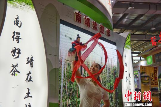 海峽茶會展示漳州非遺木偶戲表演。 龔雯 攝