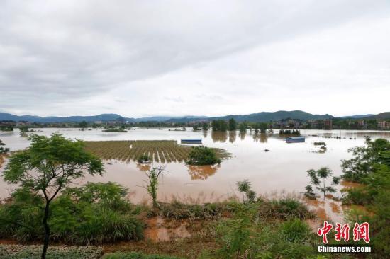 資料圖:湖南省臨武縣武水鎮、南強鎮、汾市鎮、水東鎮、金江鎮等鄉鎮遭遇特大暴雨襲擊,導致大量民房和農田被淹。據不完全統計,該縣數千戶民房被淹,數十萬畝農田、果園、煙田被淹斷收,直接經濟損失達數千萬元。災情發生後,當地政府及相關部門第一時間奔赴受災鄉鎮轉移羣衆,察看災情並積極組織村民排澇自救、發放救災物資、開展保險理賠等工作。目前救災工作正在有序進行,無人員傷亡。唐盛歡 攝