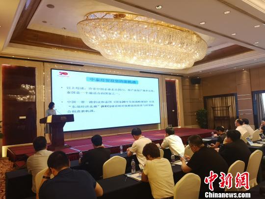 图为杭州市侨界庆祝新中国成立70周年暨积极参与“一带一路”建设研讨会活动现场。 张煜欢 摄