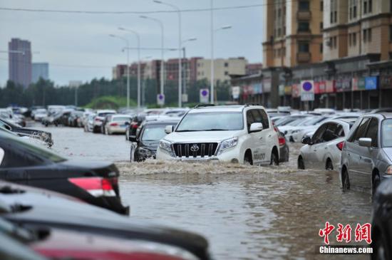 资料图。 <a target='_blank' href='http://www.chinanews.com/'>中新社</a>记者 于海洋 摄