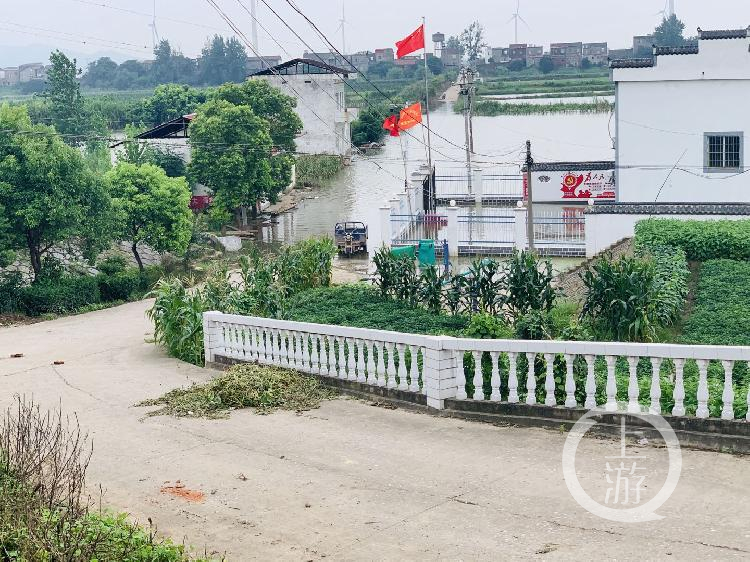 ▲7月13日,江西九江市江洲鎮,低窪地帶的水泥路已被江水淹沒。攝影/上游新聞記者 時婷婷