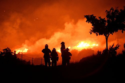 加州爆發6大山火,紐森去函白宮,要求總統宣佈重大災難宣告。