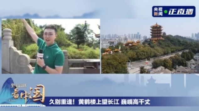 晴川歷歷漢陽樹,芳草萋萋鸚鵡洲