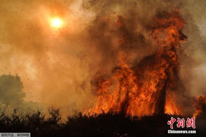 資料圖:當地時間2020年10月26日,美國加州歐文市,Silverado大火迫使當地居民撤離。
