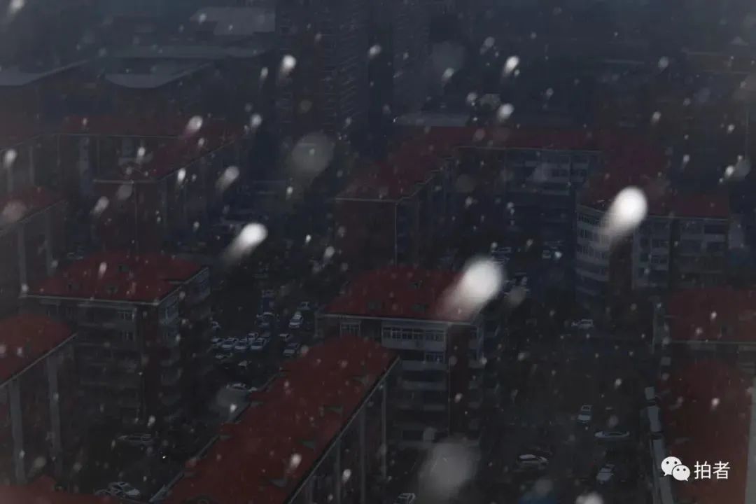 ▲西南四环,清晨,纷飞的雪花在闪光灯的照耀下,宛若呼啸而来的“流星”。摄影/新京报记者浦峰
