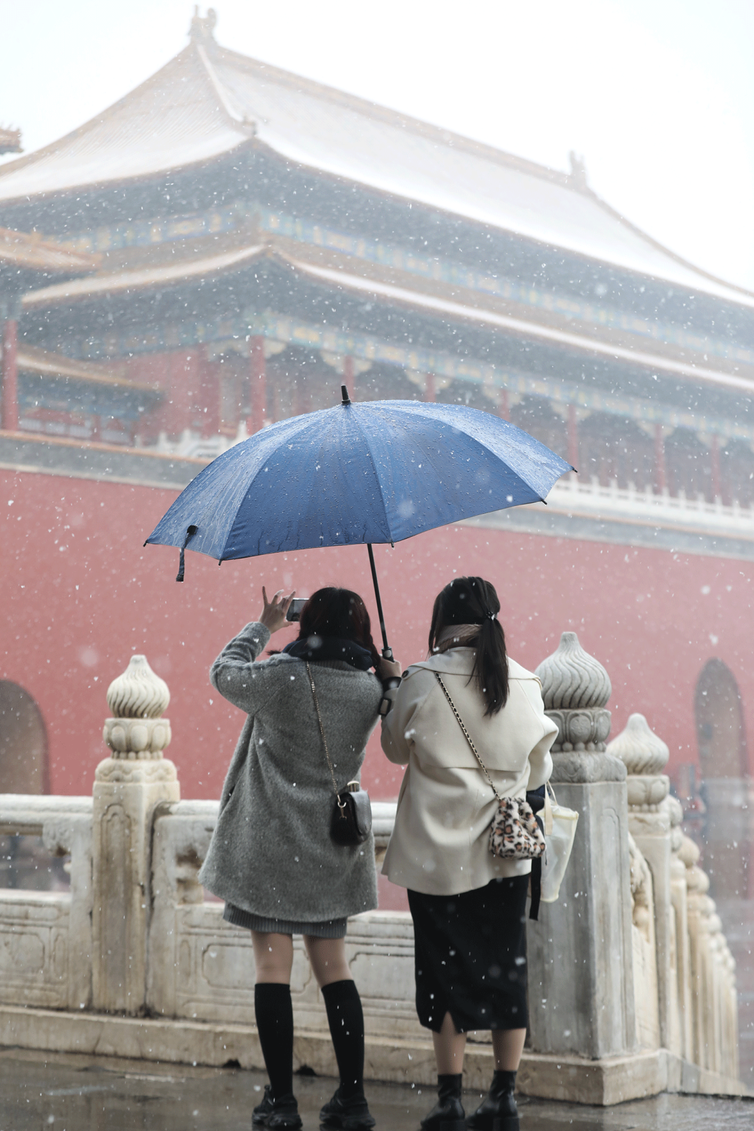 ▲不少市民今日去故宫赏雪。摄影/新京报记者 王嘉宁
