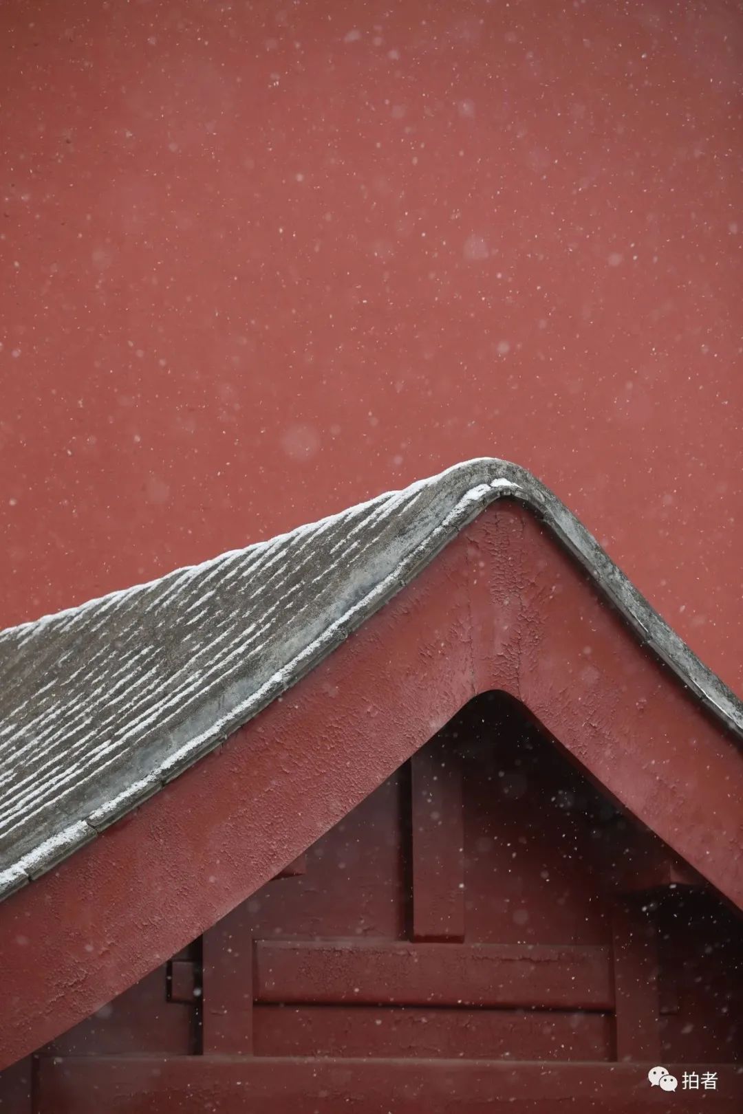 ▲ 故宫的红砖绿瓦与飘落的白雪相映成趣,引来游客参观、留影。摄影/新京报记者王嘉宁