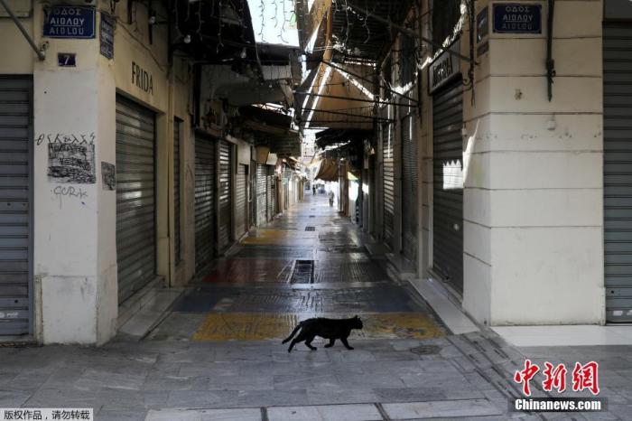 资料图:当地时间11月7日,希腊雅典,一只猫在空荡的商业街上漫步。为遏制新冠疫情,自当地时间7日早晨6时起,希腊全国进入为期三周的封锁状态。