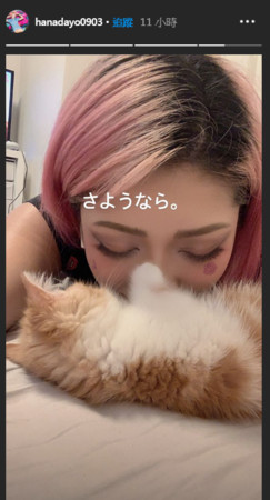 木村花道別