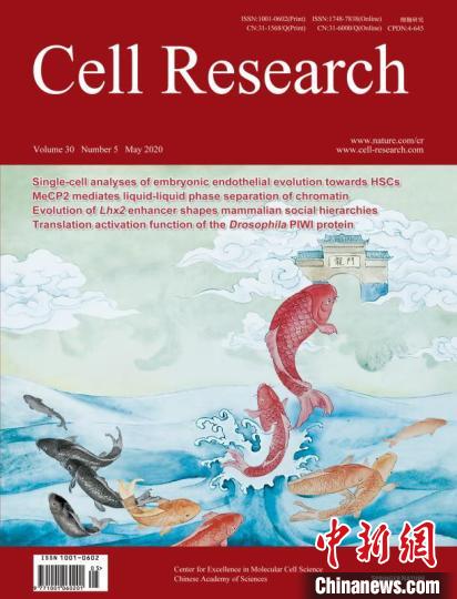 中國科學院分子細胞科學卓越創新中心 供圖 攝