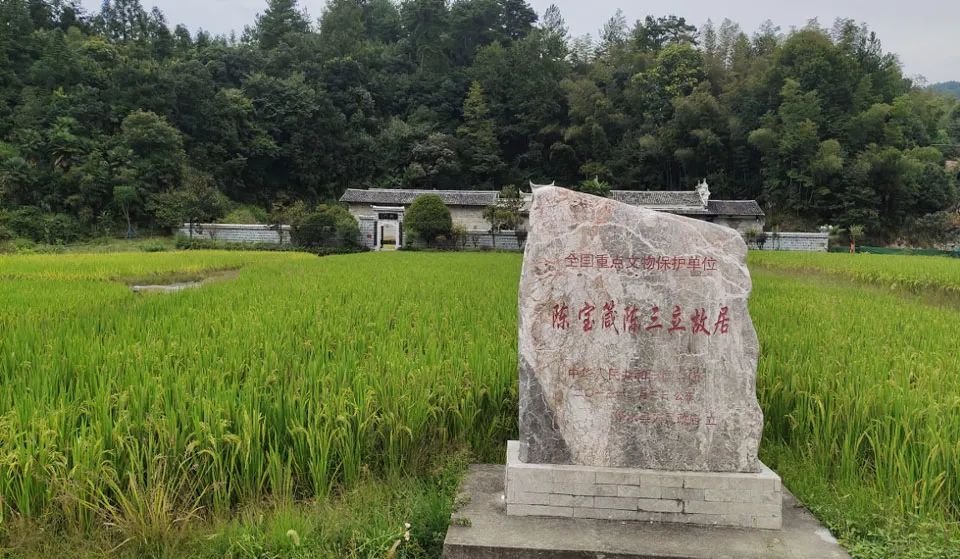 ▲陳家大屋前方是一片稻田,兩百餘年間滄海桑田,這裏的炊煙一直沒有中斷。 (南方週末記者 李在磊/圖)