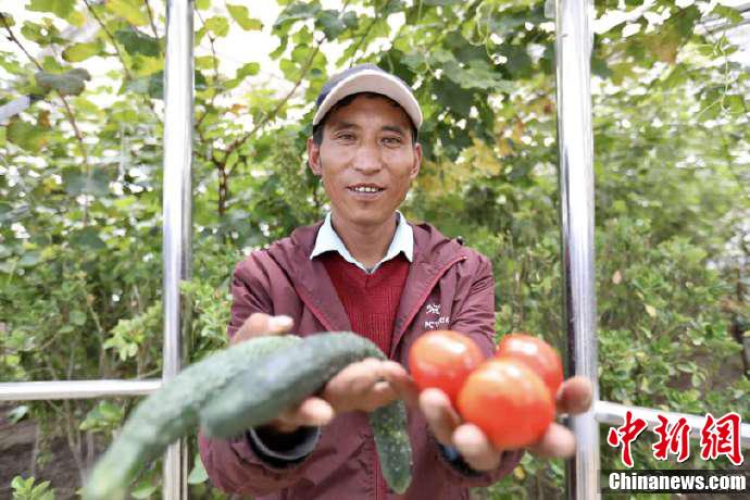 羣培和他所種植的蔬菜。 趙金悅 攝