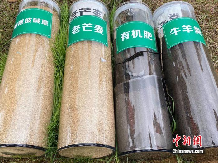 用于恢复植被的植物种子和肥料。房家梁 摄