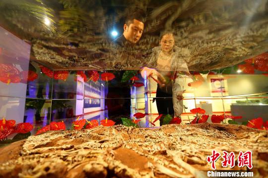 古生物化石修复师吕波(左)正在介绍远古“神兽”——择义王氏鳄化石。 张云 摄