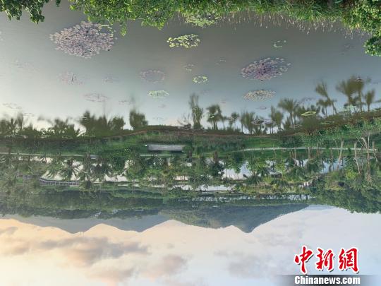 圖爲海南美麗鄉村建設樣板沙美村的美麗風光。 張梓 攝