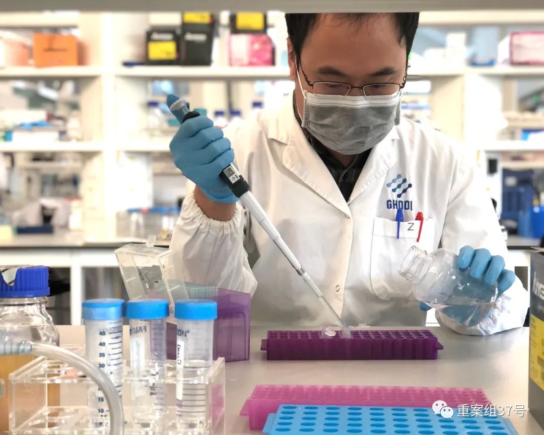 ▲全球健康藥物研發中心科研人員投入針對新型冠狀病毒的藥物研發中。受訪者供圖