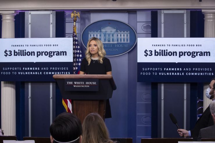 Kayleigh McEnany(图片来源:美联社)
