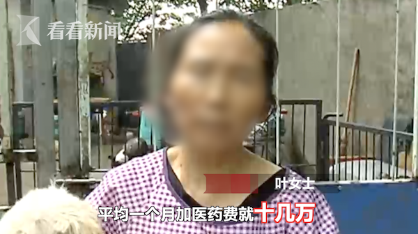 20年收养700多条流浪猫狗 为凑经费跪地乞讨