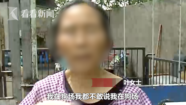 20年收养700多条流浪猫狗 为凑经费跪地乞讨